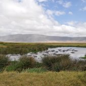  Ngorongoro Crater, TZ